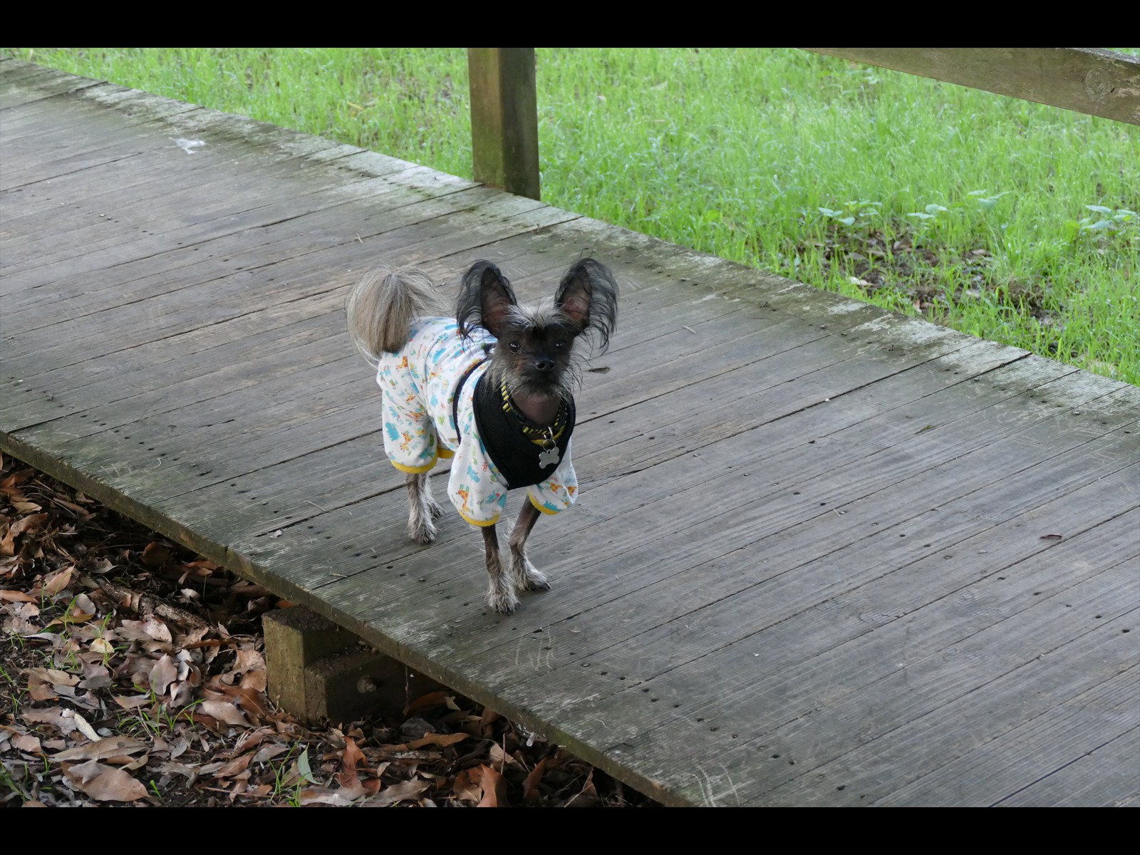 Billy on boards