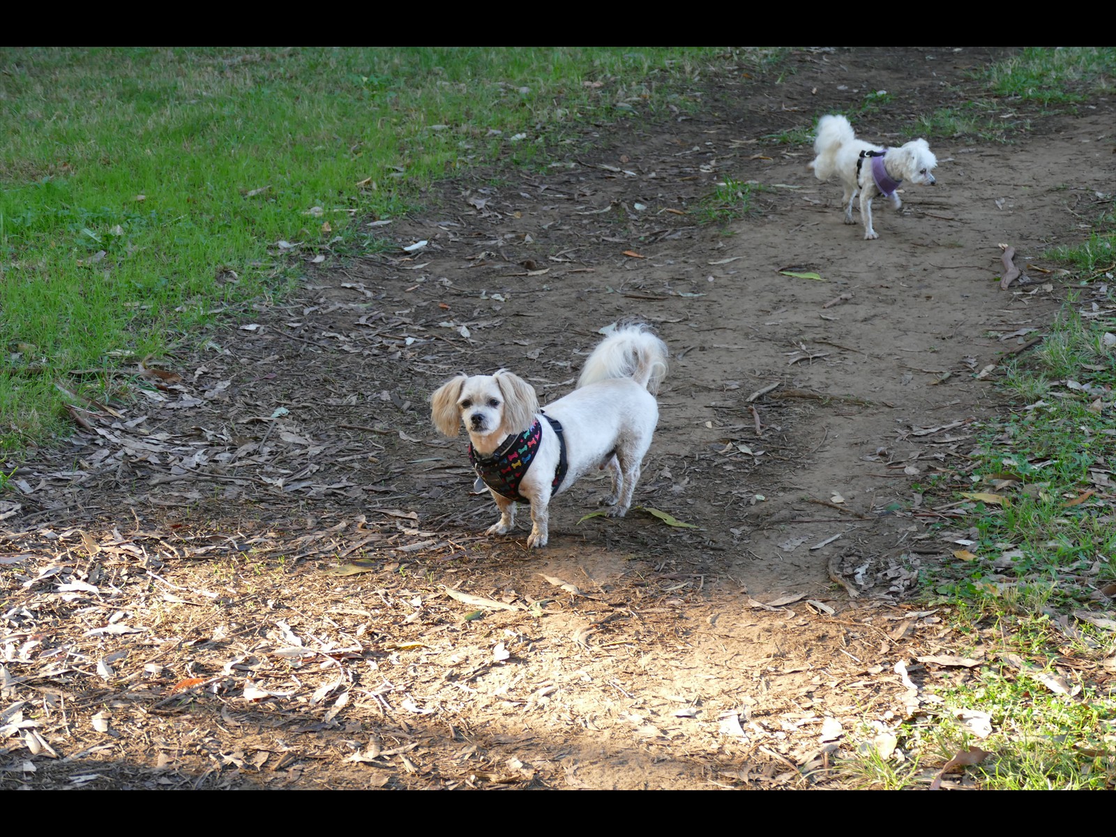 Zac and Poppy